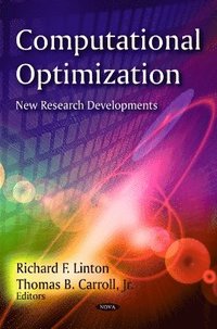 bokomslag Computational Optimization