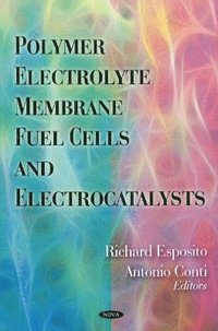 bokomslag Polymer Electrolyte Membrane Fuel Cells & Electrocatalysts