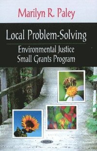 bokomslag Local Problem-Solving