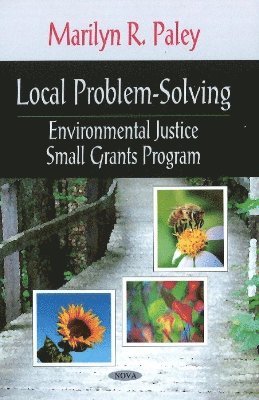 bokomslag Local Problem-Solving