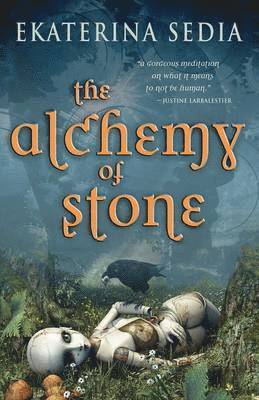 bokomslag Alchemy of Stone