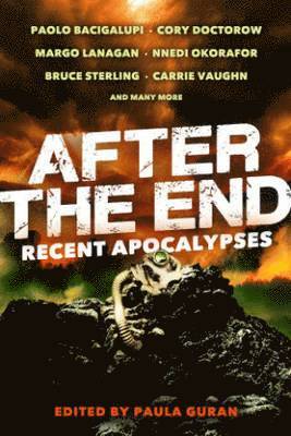 bokomslag After the End: Recent Apocalypses