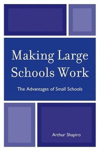 bokomslag Making Large Schools Work