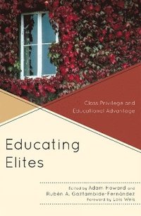 bokomslag Educating Elites