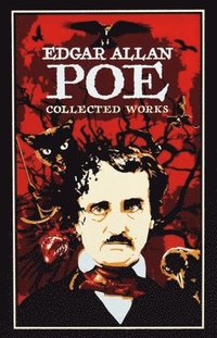 bokomslag Edgar Allan Poe