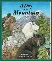Kevin Kurtz - A Day on the Mountain, Inbunden