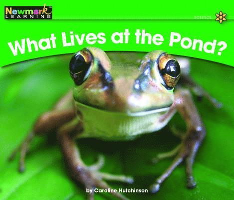 What Lives at the Pond? 1