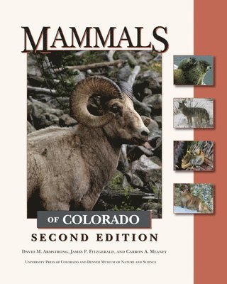 David M. Armstrong, James P. Fitzgerald, Carron A. Meaney - Mammals of Colorado, Inbunden