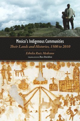 bokomslag Mexico's Indigenous Communities