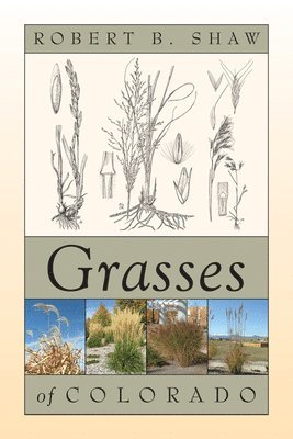 Robert B. Shaw - Grasses of Colorado, Häftad