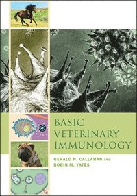 bokomslag Basic Veterinary Immunology