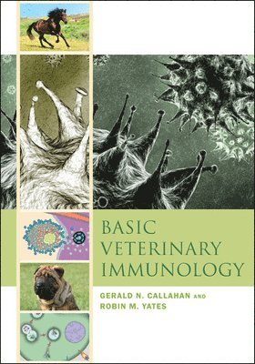 Basic Veterinary Immunology 1