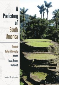 bokomslag A Prehistory of South America