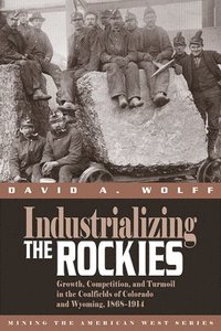 bokomslag Industrializing the Rockies