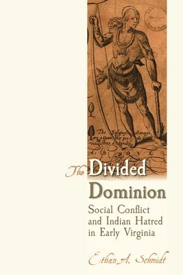 Ethan A. Schmidt - Divided Dominion, Häftad