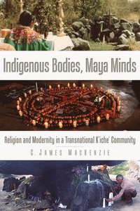 bokomslag Indigenous Bodies, Maya Minds