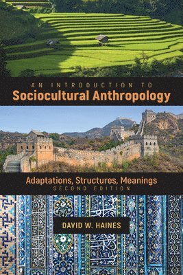 David Haines - Introduction to Sociocultural Anthropology, Häftad