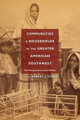 bokomslag Communities and Households in the Greater American Southwest