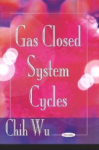 bokomslag Gas Closed System Cycles