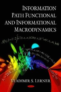 bokomslag Information Path Functional & Informational Macrodynamics
