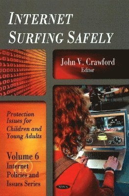 bokomslag Internet Surfing Safely