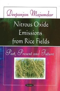 bokomslag Nitrous Oxide Emissions from Rice Fields