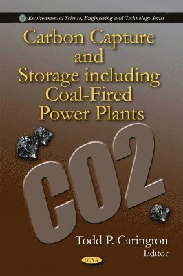bokomslag Carbon Capture & Storage including Coal-Fired Power Plants