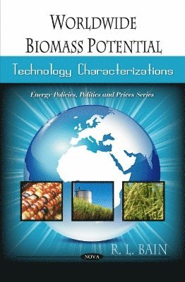 bokomslag Worldwide Biomass Potential