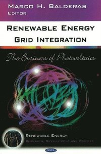 bokomslag Renewable Energy Grid Integration