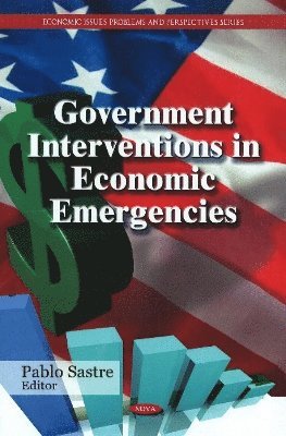 bokomslag Government Interventions in Economic Emergencies