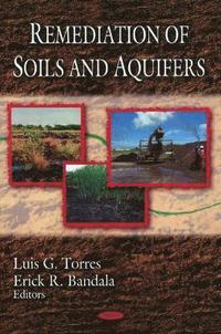 bokomslag Remediation of Soils & Aquifers