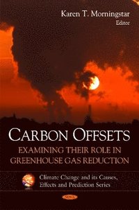 bokomslag Carbon Offsets