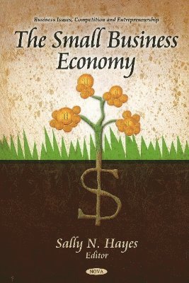 bokomslag Small Business Economy