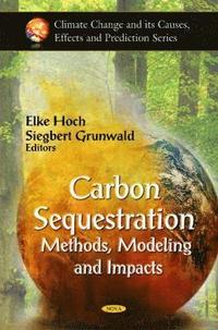bokomslag Carbon Sequestration