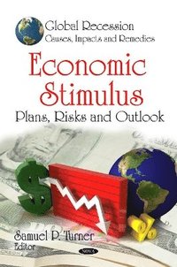 bokomslag Economic Stimulus
