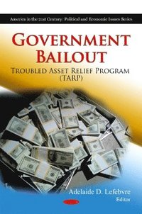 bokomslag Government Bailout