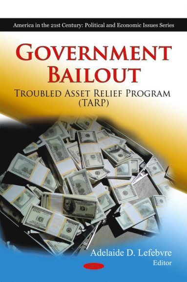 bokomslag Government Bailout
