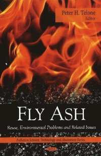 bokomslag Fly Ash