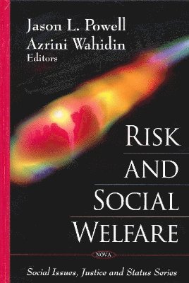 bokomslag Risk & Social Welfare