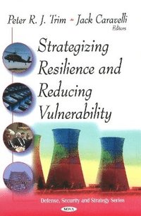 bokomslag Strategizing Resilence & Reducing Vulnerability
