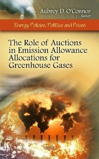 bokomslag Role of Auctions in Emission Allowance Allocations for Greenhouse Gases