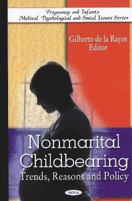 bokomslag Non-Marital Childbearing