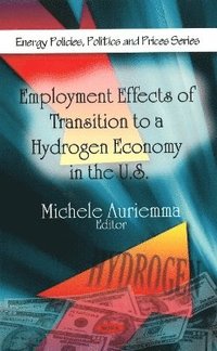 bokomslag Employment Effects of Transition to a Hydrogen Economy in the U.S.