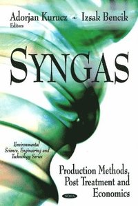 bokomslag Syngas