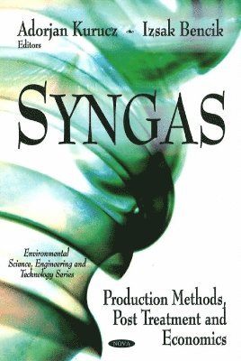 bokomslag Syngas
