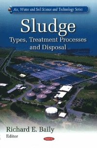 bokomslag Sludge