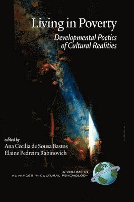 Ana Cecilia de Sousa-Bastos, Elaine Pedreira Rabinovich, Ana Cecilia de Sousa-Bastos, Ana Cecilia De Sou Bastos, Elaine P. Rabinovich - Living in Poverty, Inbunden