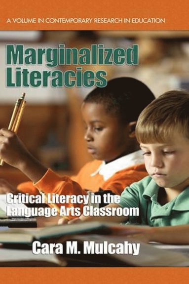 bokomslag Marginalized Literacies