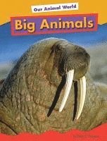 bokomslag Big Animals