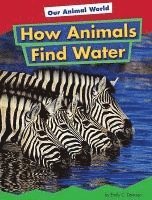 bokomslag How Animals Find Water